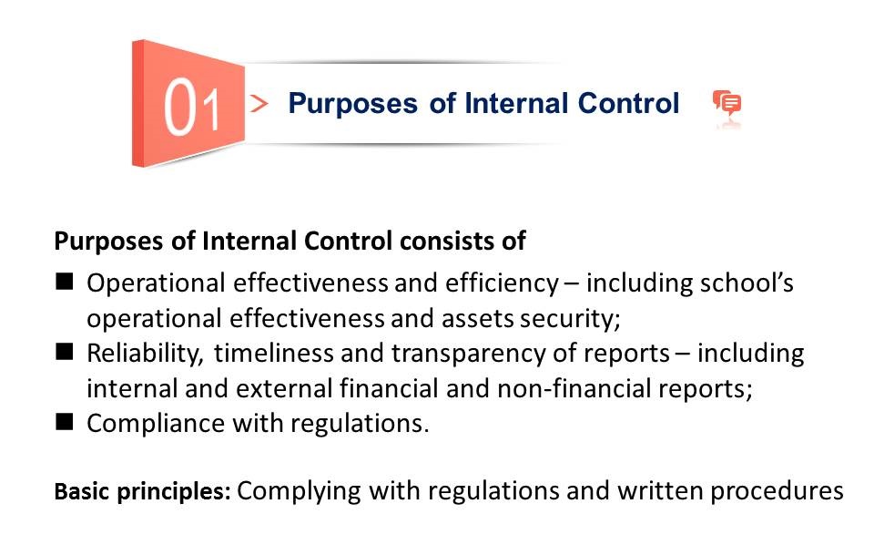 Purpose of Internal Control