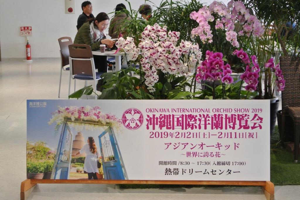落實行動學習 長榮大學蘭花學程參訪沖繩國際洋蘭博覽會