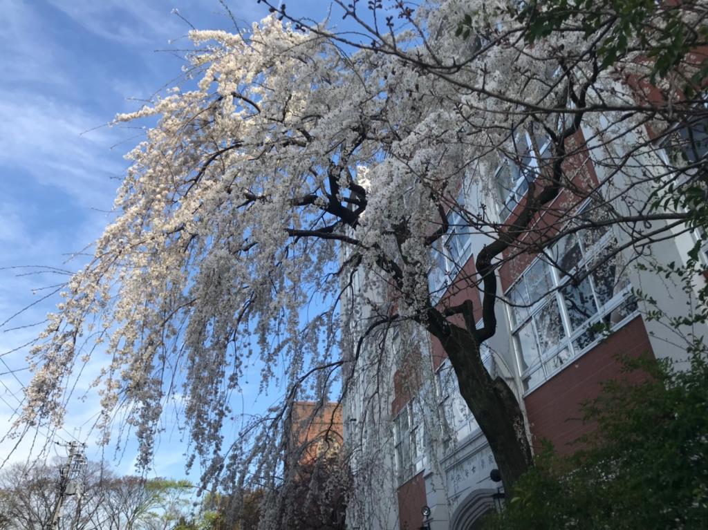 感受貴族氣息   長榮大學拜訪京都平安女學院大學