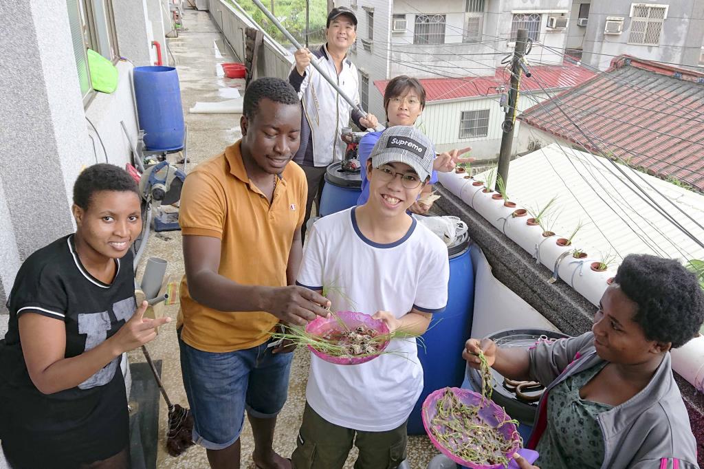 低碳食物里程起步走 長榮大學與大武崙社區打造魚菜共生系統