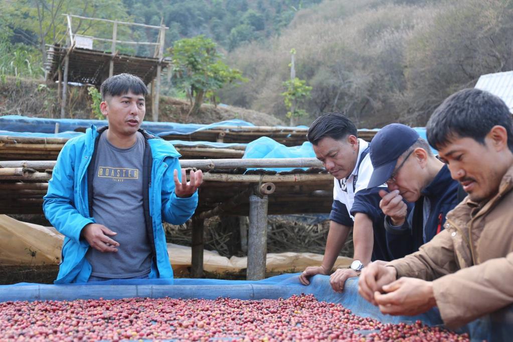 長榮大學USR HUB跨國整合計畫  到泰北阿卡部落進行咖啡豆調查