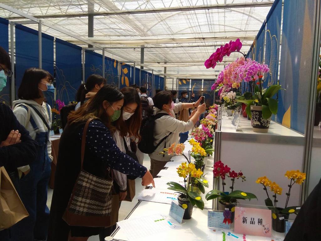 加強產學合作  蘭花學程參訪芳美蘭園和蘭科植物園