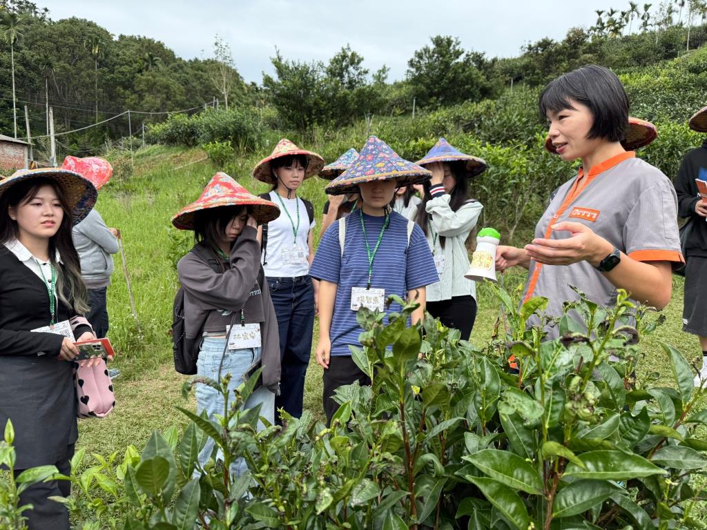 外籍生至茶園認識茶葉