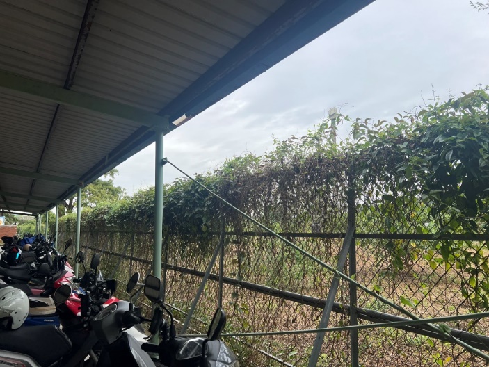 校園綠籬專案計畫-三宿後車棚