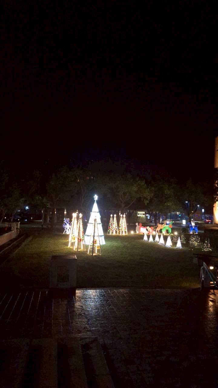 聖誕藝術裝置被點亮