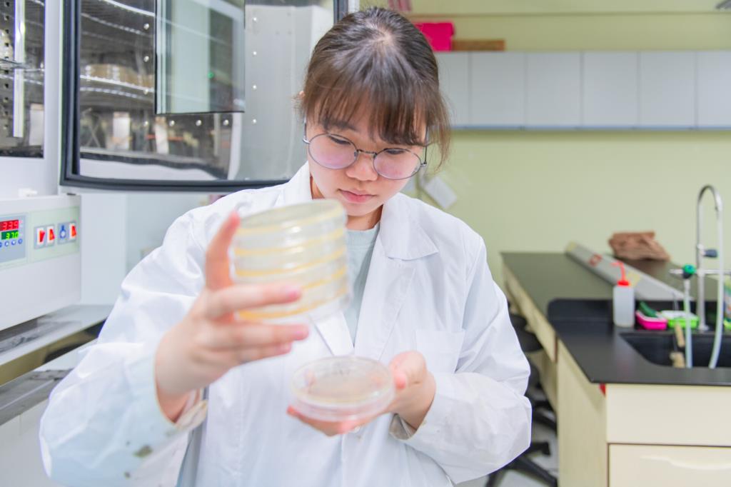 長榮大學食安學程再傳捷報 兩位大四畢業生考取食品檢驗分析技術士乙級證照