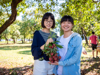 焦點新聞