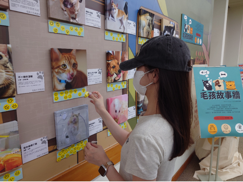 這是關於【長榮大學圖書館「毛孩故事牆」 看見寵物與主人間的溫柔連結】這一則訊息的封面圖片