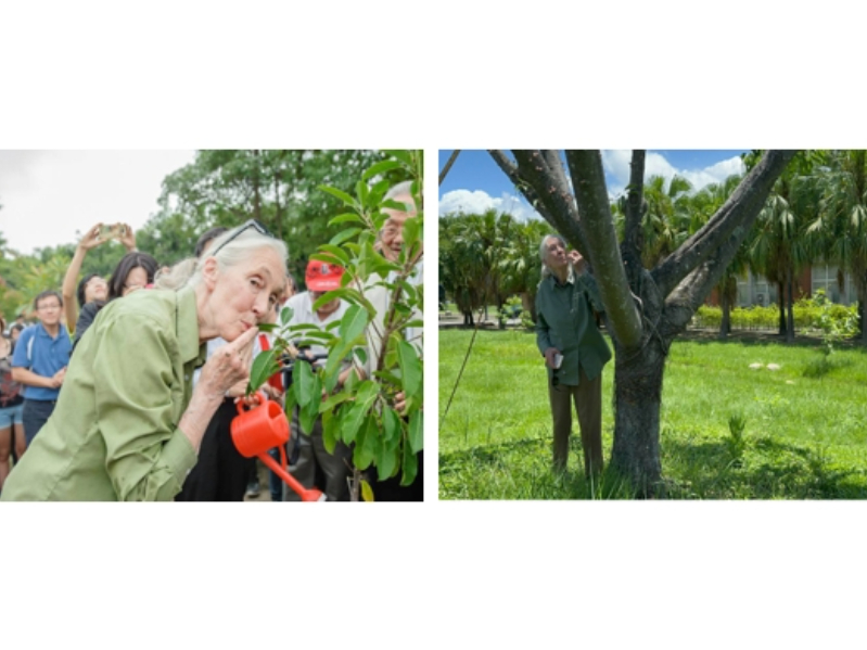 【即時發布】永遠懷念珍古德博士 From:珍古德教育及保育協會 Jane Goodall Institute Taiwan