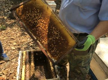 2018-05-18 建群養蜂場企業參訪