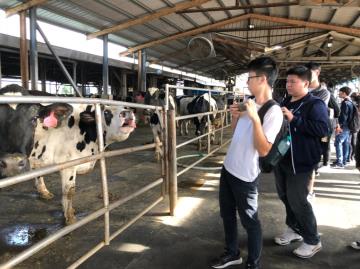 2018-11-27 GAU JIANN FOOD TECHNICAL LTD. Dairy farm Visit