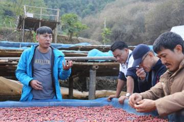 USR HUB跨國整合計畫-泰北阿卡部落咖啡豆調查-美門咖啡