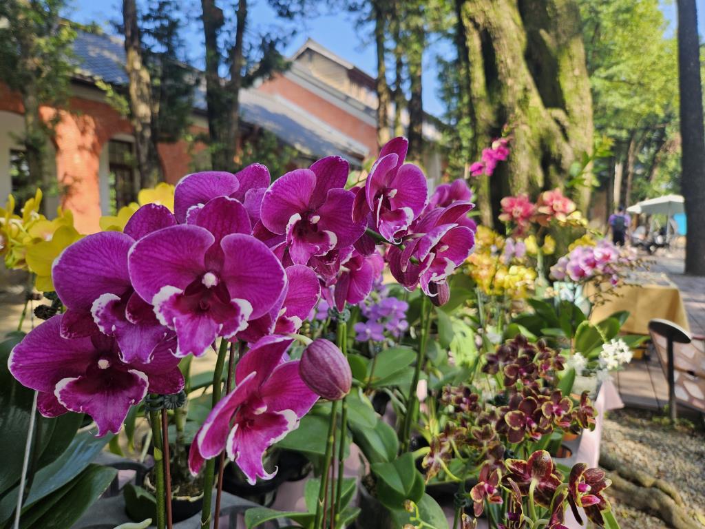 多元活動帶動人潮　台南山上花園水道博物館4天館慶近萬人入園